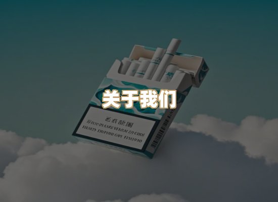 关于蓝帝网
